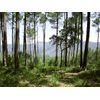 Caja Regalo Aventura - Ruta A Pie Por La Sierra Y Miradores Naturales De Sintra Para 2 Personas