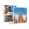 Caja Regalo Aventura - Tour Gaudí Y Sagrada Familia: 1 Entrada De Adulto Y 1 De Niño