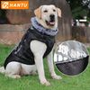 Abrigo Prime,para Perro  Negro-azul 3xl