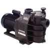 Hayward Bomba De Filtración 1 Hp, 13m3/h Mono - Sp2811xe161