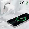 Conector Carga Lightning Micrófono Iphone 12 / 12 Pro Recambio Verde