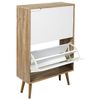 Mueble Zapatero 2 Puertas