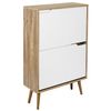 Mueble Zapatero 2 Puertas