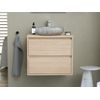 Mueble De Baño Simple Milipam 2 Cajones 60x45x50 Cm Color Color Natural Claro Vente-unique