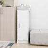 Mueble Zapatero De Aglomerado Blanco Con Brillo 32x35x92 Cm