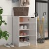 Mueble Zapatero Madera Contrachapada Blanco Brillo 30x35x70 Cm