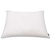 Almohadas 2 Uds Relleno Plumón/plumas 70x60 Cm Blanco