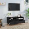 Mueble De Tv Madera Contrachapada Negro 100x34,5x44,5 Cm