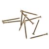 240 Clavos Dorados Ø 1,1 Mm X 1,8 Cm