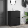 Vidaxl Mueble Zapatero Con 2 Cajones Abatibles Negro 80x42x108 Cm