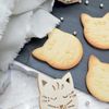 Kit De Galletas Gato