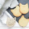 Kit De Galletas Gato