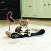 Rascador Perfecto Para Gatos - Venteo™ - Rascadores Para Gatos - Cartón - Adulto