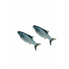 Magic Fish - Juego Del Gato - Adulto - Gris - Cable Usb Recargable - Educativo