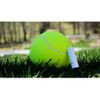 Pelota De Tenis Gigante Incrediball - Venteo - Juguete Para Perro - 24cm De Diámetro
