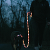 Correa Y Collar Luminosos Para Perros - Venteo - Led Recargable Por Usb