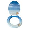 Asiento De Baño Msv " Paradise" De Acero Inoxidable 42,5 X 36,5 X 1,7 Cm