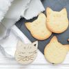 Kit De Galletas En Relieve Cat + 5 Rotuladores Choco Pastel