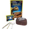 Kit De Excavación De Dinosaurios Fósiles De National Geographic