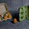 Caja 10 Huevos Bioplástico Beige