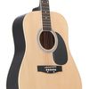 Guitarra Folk 4/4 Natural Delson Montana F-540nat