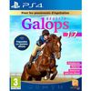 Gallopara Ps 1 A 7 Para Ps4