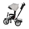 Triciclo Evolutivo Con Ruedas De Goma Speedy Air Grey & Black