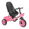 Triciclo Evolutivo Voyage De Lorelli Pink Grunge