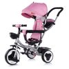 Triciclo Evolutivo Jazz Bidireccional De Chipolino Rose Water