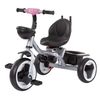 Triciclo Evolutivo Jazz Bidireccional De Chipolino Rose Water