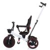 Triciclo Plegable Con Asiento 360º Alpha De Chipolino Poppy