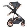 Carrito De Bebé Trío Convertible Midas  Black De Moni