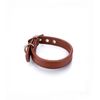 Collar Vegano Para Perros Toy Camel Pamppy 20 Cm