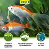 Granulos Complete Food Para Peces Pequeños En Estanques - 4l Tetra