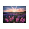 Puzzle Adulto Lupins - Edición Nature - Puzzle 500 Piezas