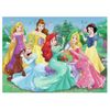 Nathan Puzzle 45 P Conoce A Las Princesas De Disney