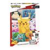 Puzzle Tipos Pokemon 250 Piezas