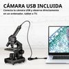 Microscopio 40x-1024x National Geographic