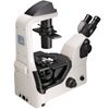Microscopio De Laboratorio Profesional Con Contraste De Fase Nib620 Nexcope