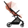 Silla De Paseo Travel N Care Plus De Hauck Cork