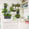 Jardineras 3 Unidades Green Wall Home Kit Color Pizarra Lechuza