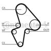 Correa Dentada Ct906