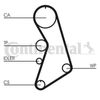 Correa Dentada Ct909