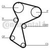 Correa Dentada Ct935