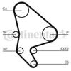 Correa Dentada Ct986