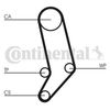 Correa Dentada Ct939