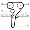 Kit De Distribución Ct877wp2