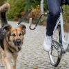 Set De Correas De Perro Para Bicicleta En Forma De U Negro Trixie