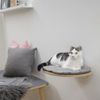 Cama De Pared Para Gatos Tofana 35x50 Cm Gris 81543 Kerbl