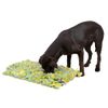 Alfombra Olfativa Para Perros 50x30 Cm Kerbl